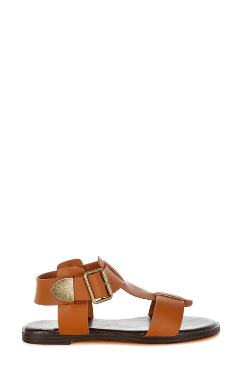 Rag & Co Shayla Gladiator Flat Sandal