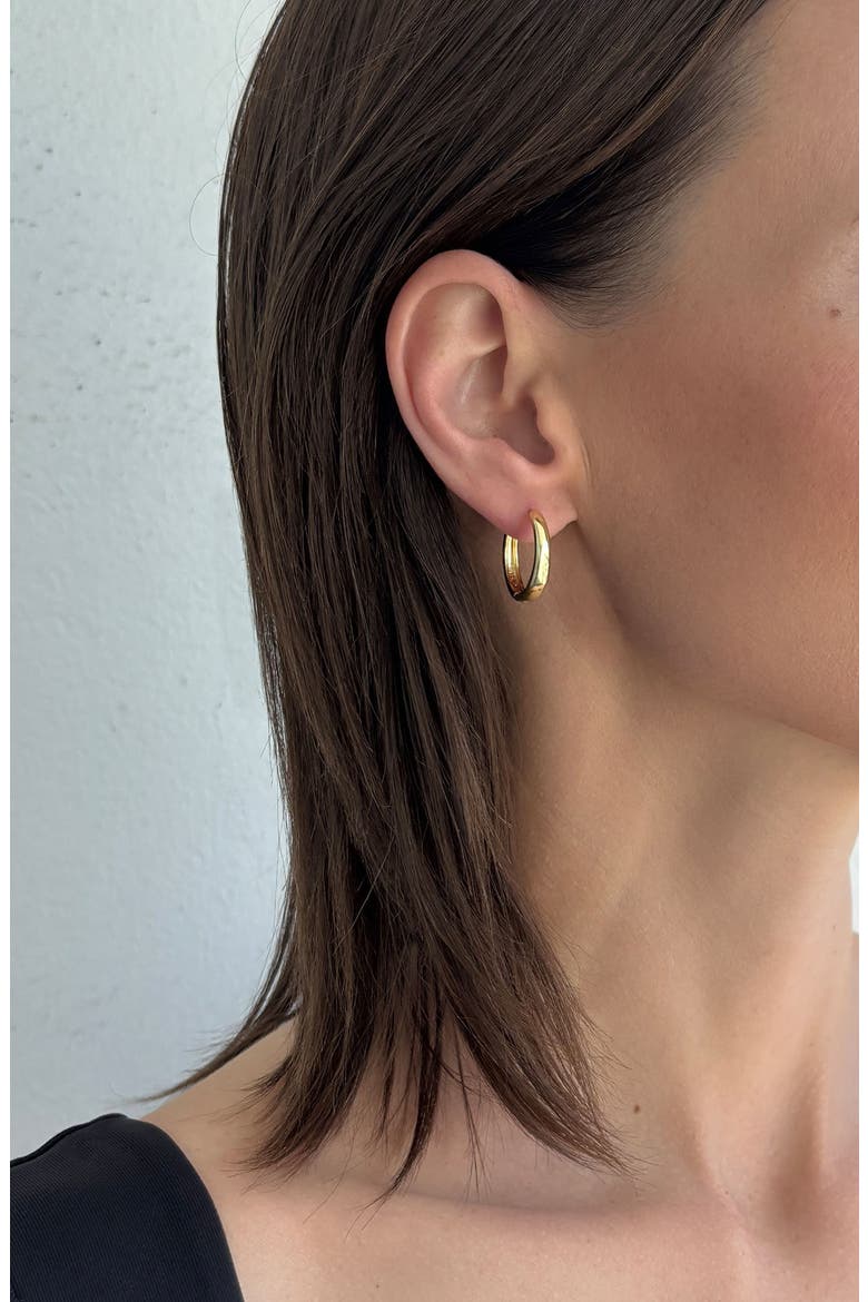 2-Pack Assorted Hoop Earrings, Alternate, color, GOLD