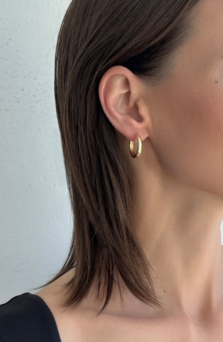 Adornia 2-Pack Assorted Hoop Earrings, Alternate, color,