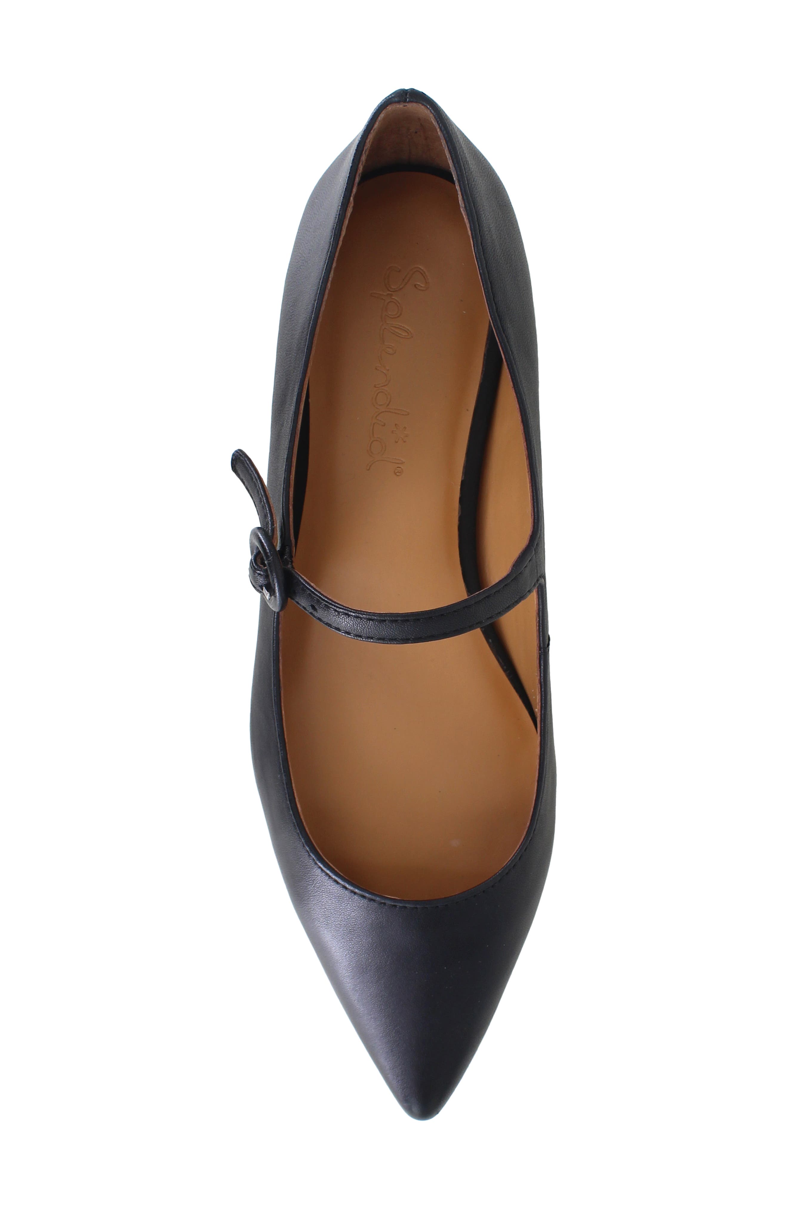Mariana Pointed Toe Mary Jane Flat, Alternate, color, BLACK