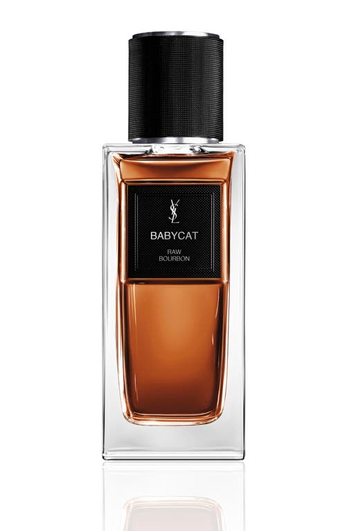 Saint Laurent Yves Babycat In Transparent