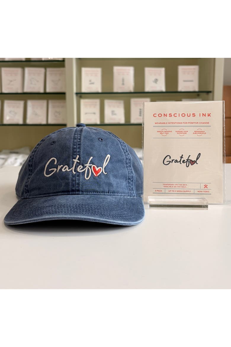 Grateful Access Cap + Ink, Alternate, color, Faded Blue