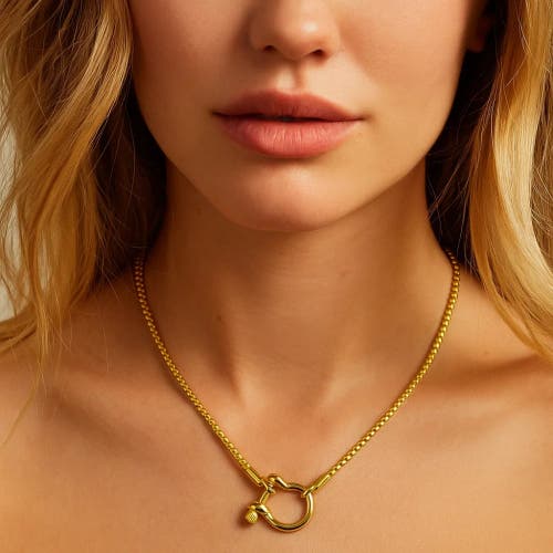 Hollywood Sensation Lucky Lock Carabiner Necklace Two Tone Mixed Metal Horseshoe Pendant Chain In Gold