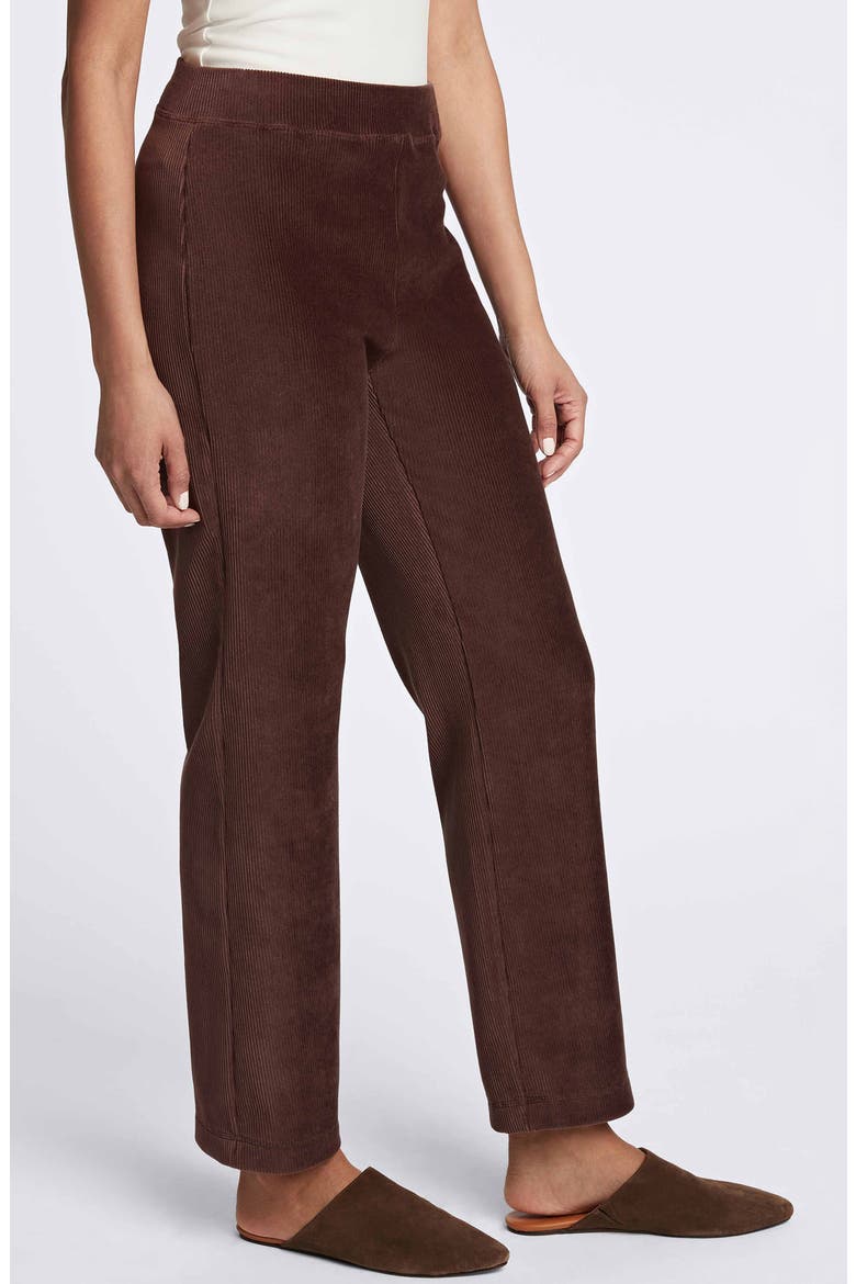 Caden Plush Corduroy Pants, Alternate, color, CHOCOLATE
