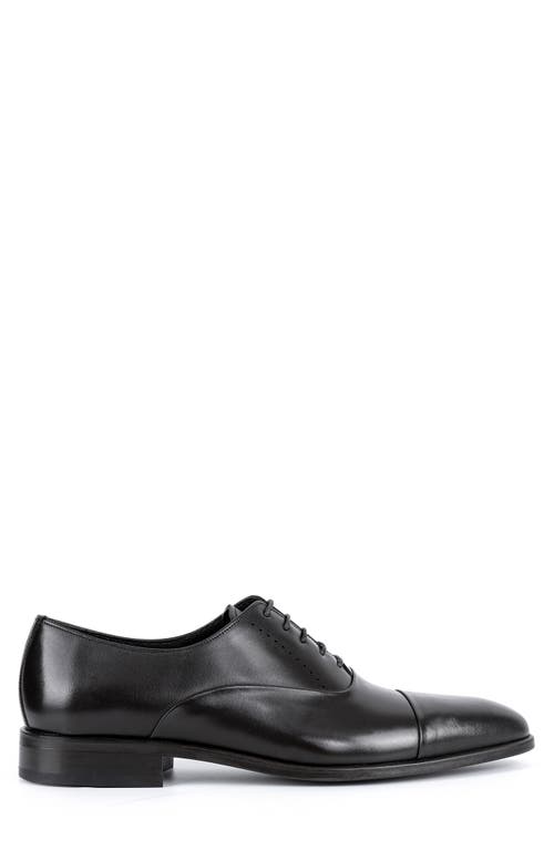 Vellapais Dinero Perforated Oxford In Black