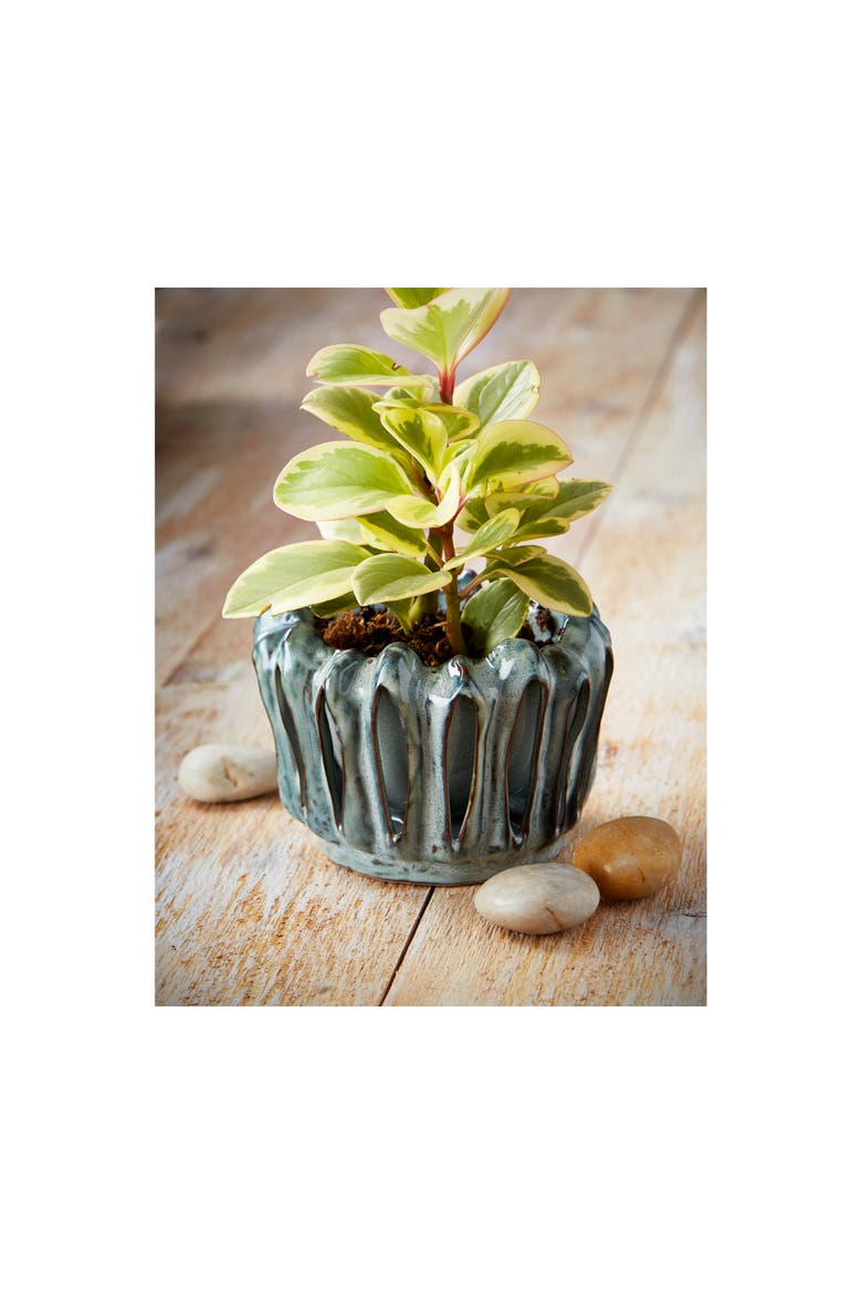 Lagoon Teal Reactive Glazed Stoneware Planter for 4" Pots, Alternate, color, Blue