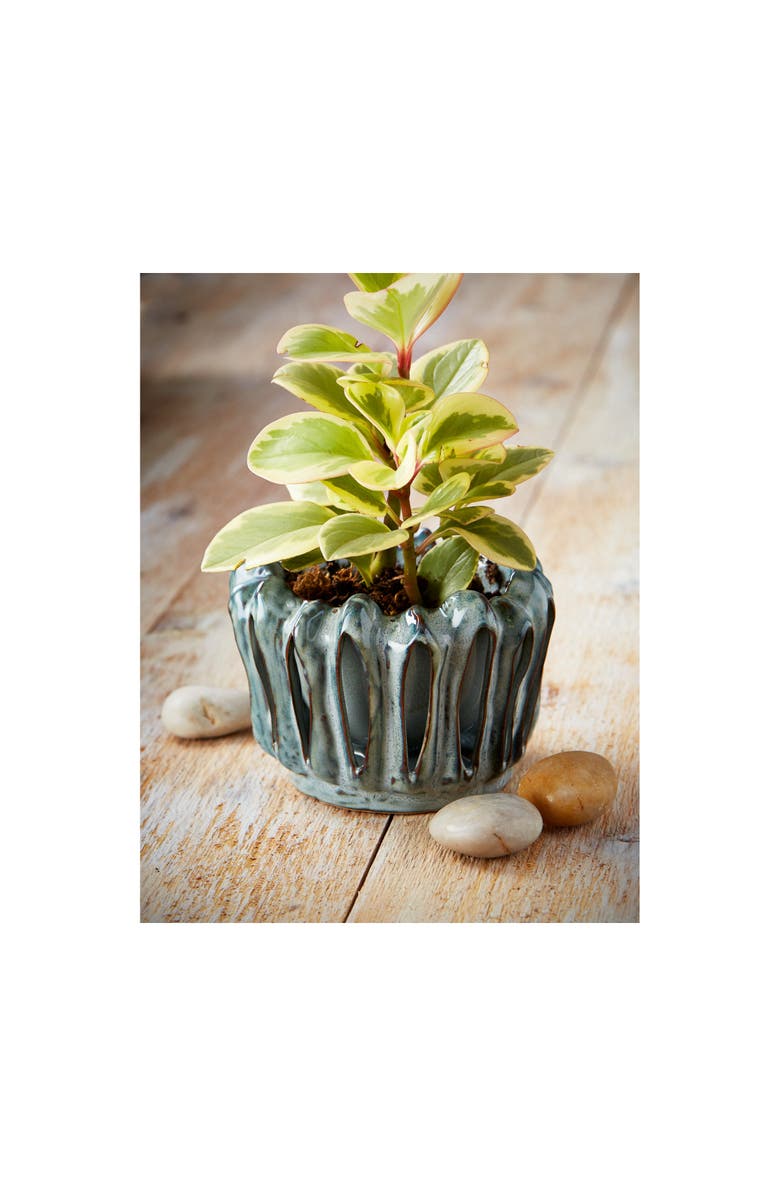 tag Lagoon Teal Reactive Glazed Stoneware Planter for 4" Pots, Alternate, color, Blue