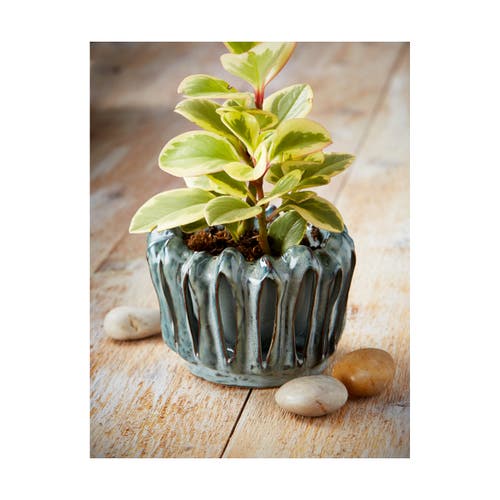 Tag Lagoon Teal Reactive Glazed Stoneware Planter For 4" Pots In Gray