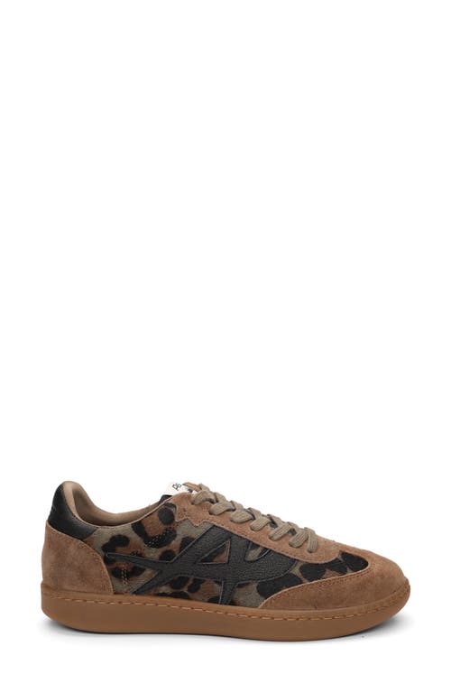 Ash Sunset Sneaker In Brown
