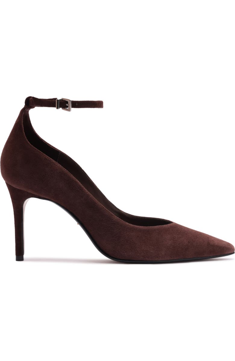 Schutz Mia Ankle Strap Pointed Toe Pump, Alternate, color, Root Brown