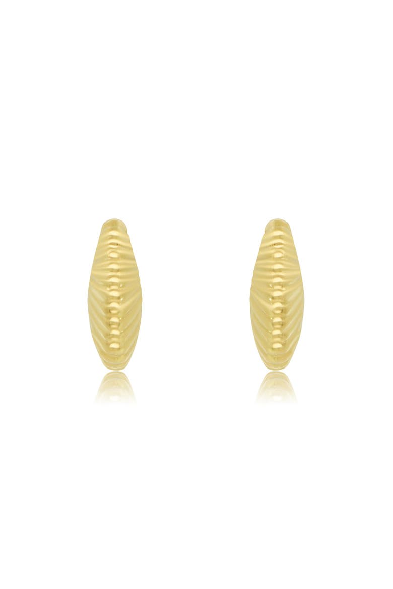 Seashell C-Hoop Earrings, Alternate, color, Yellow Gold