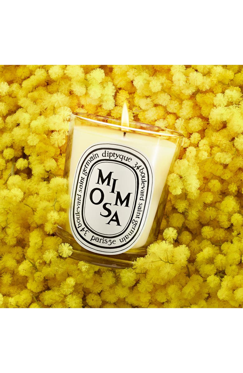 Diptyque Mimosa Scented Candle, Alternate, color,