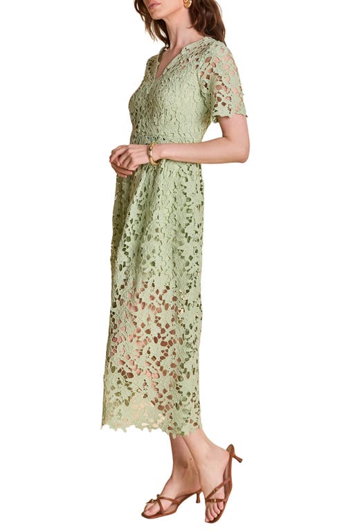 Endless Rose Allover Lace Midi Dress