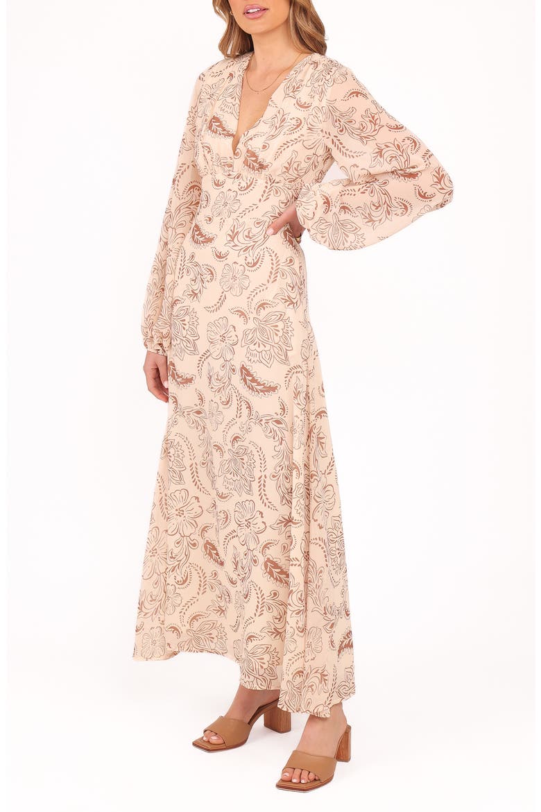 Riba Paisley Floral Long Sleeve Maxi Dress, Alternate, color, BROWN PAISLEY