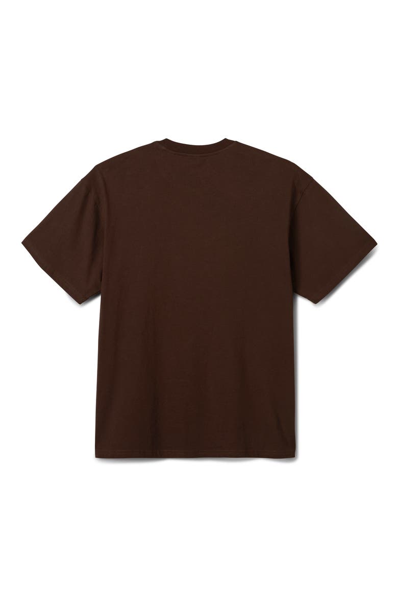 Full Circle Cotton Graphic T-Shirt, Alternate, color, BROWN