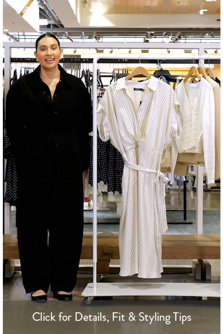Stripe Twill Dress video