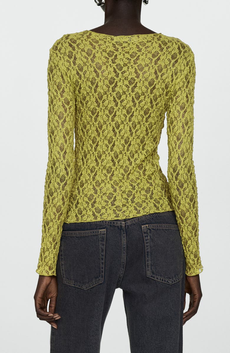 MANGO Sheer Lace Boat Neck Long Sleeve Top, Alternate, color, 