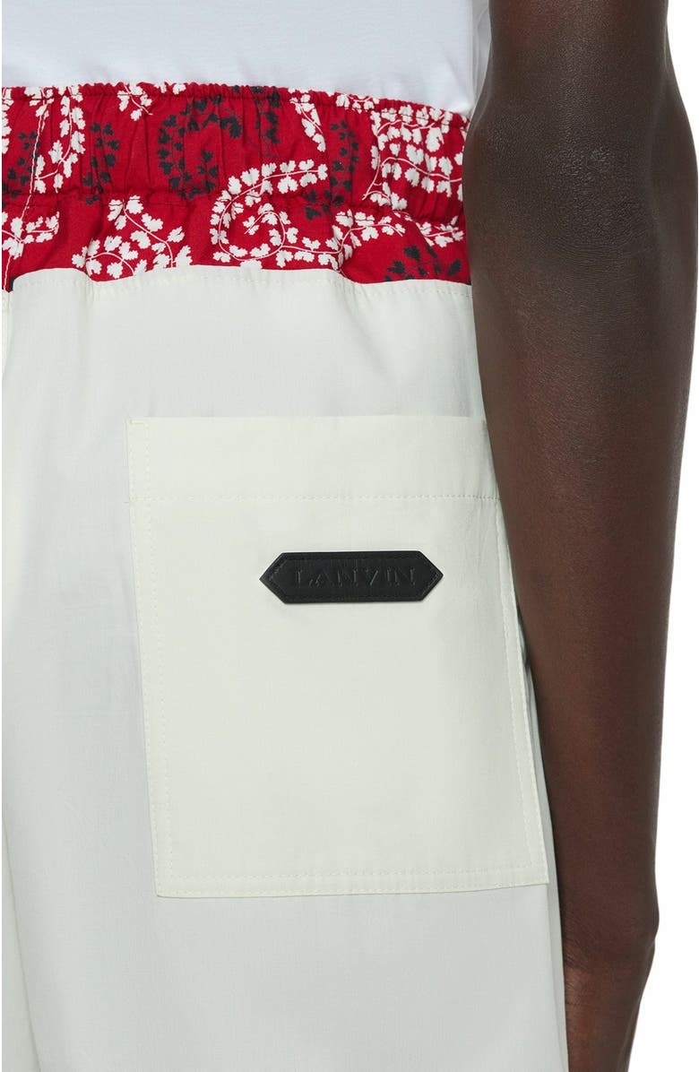 Lanvin Printed Cotton Shorts, Alternate, color, 