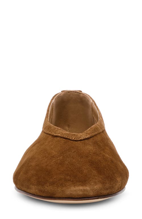 Steve Madden Leni Flat In Chestnut Suede