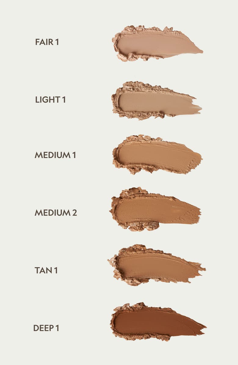 YENSA Super Serum Silk Multi-tasking Full Coverage Foundation Stick, Alternate, color, 