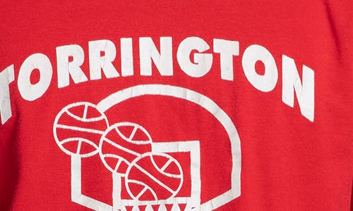 Elwood Vintage Torrington Summer Basketball Tee In Red