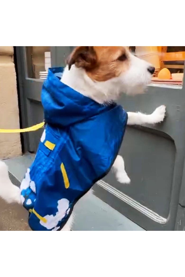 Dog Rain Poncho Japanese Blossom, Alternate, color, Blue