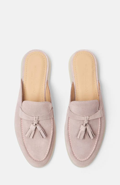 Shop Scarosso Lucrezia Mules
