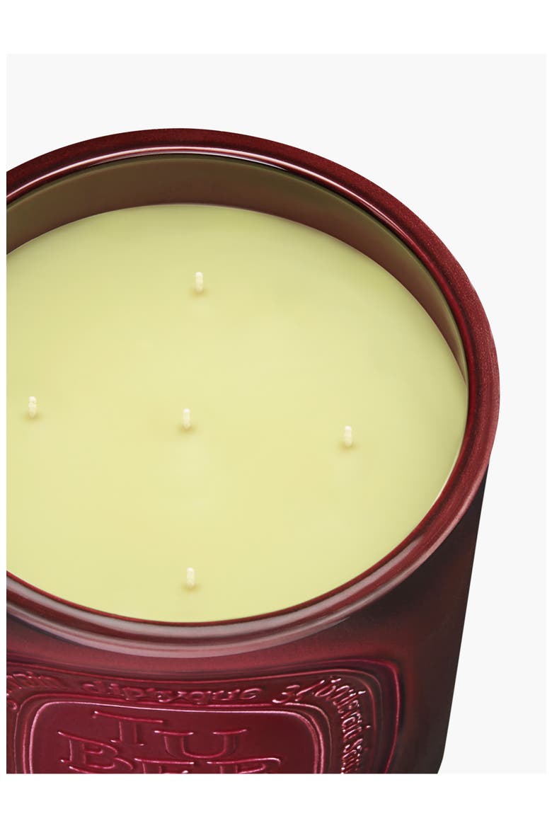 Tubéreuse (Tuberose) Very Large Scented Candle, Alternate, color, RED VESSEL