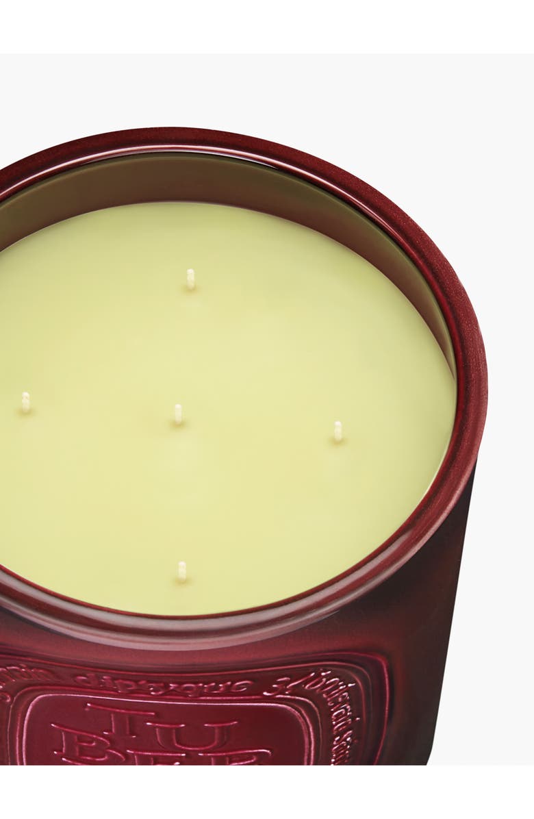 Diptyque Tubéreuse (Tuberose) Extralarge Scented Candle, Alternate, color, Red Vessel