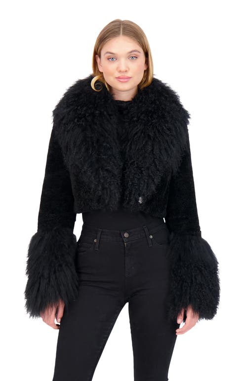 Gorski Cashmere Goat Shearling Crop Bolero Jacket With Mongolian Goat Fur Collar And Cuffs In Black