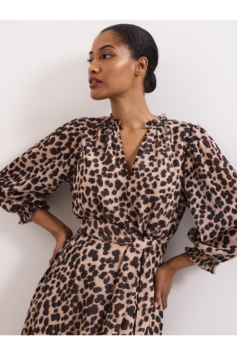 Carra Leopard Midi Dress, Alternate, color, Multi