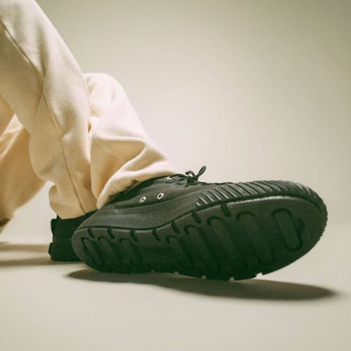 Pf Flyers P.f. Flyers Grounder Low-top Sneaker In Black