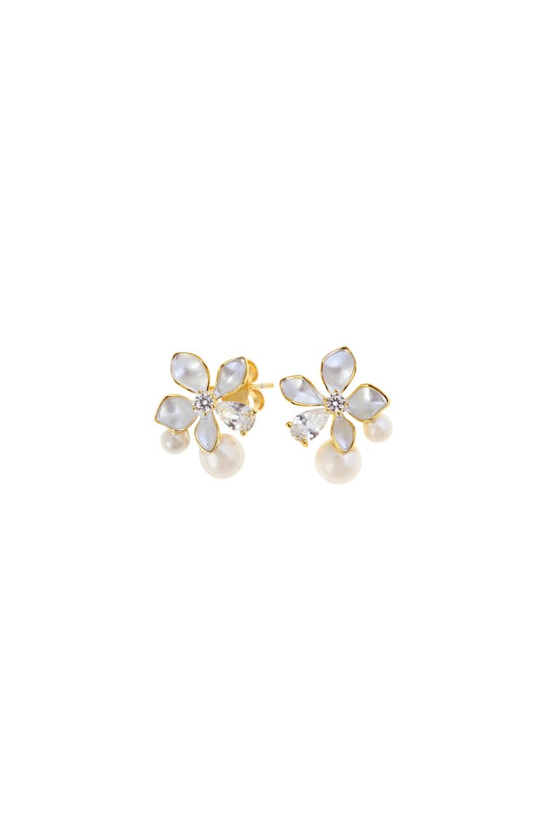 Grace Earrings, Main, color, Silver Gold Plated