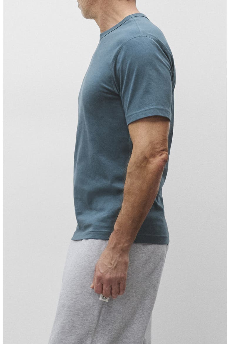 Lightweight Standard T-Shirt, Alternate, color, BERMUDA
