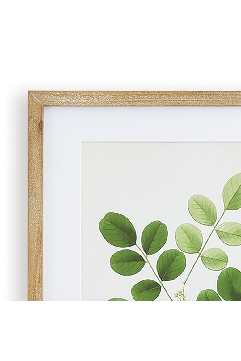 Tree Leaf Study, Set Of 6, Alternate, color, Green