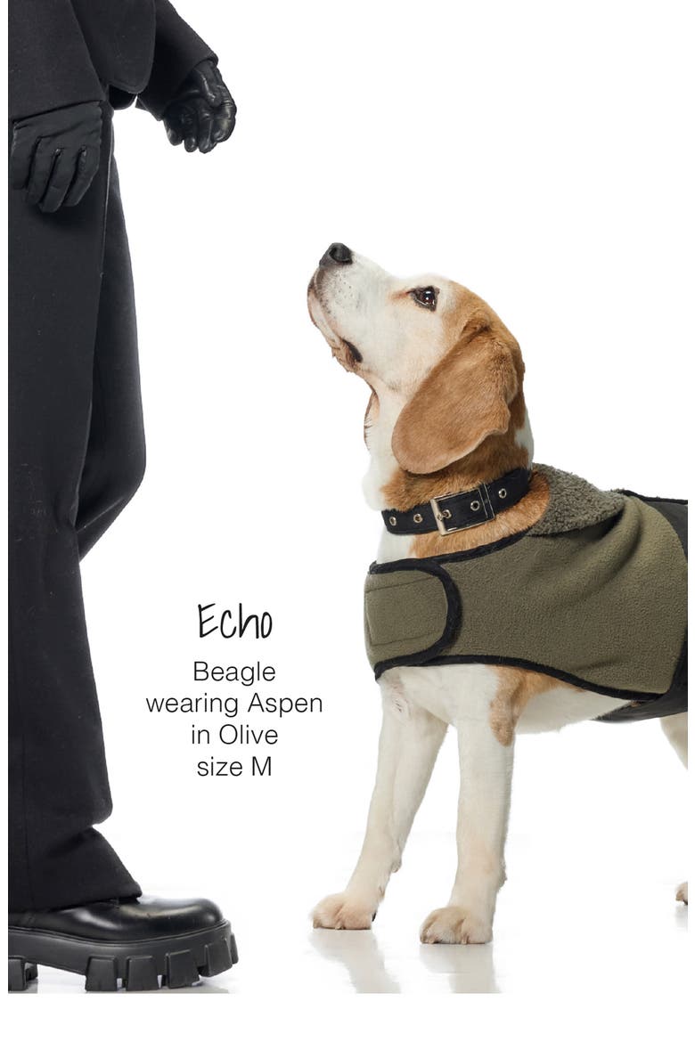 Aspen Cozy Sherpa Pet Vest, Alternate, color, OLIVE