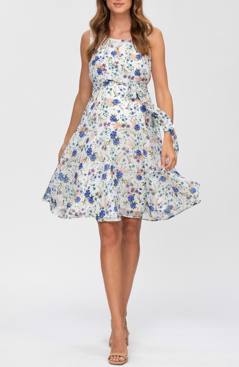 PIETRO BRUNELLI MATERNITY Tie Waist Chiffon A-Line Maternity Dress, Main, color, White