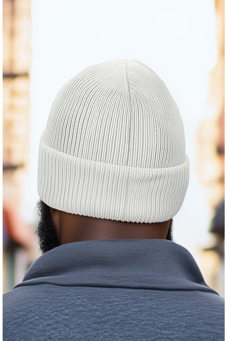 Ice Bear Beanie, Alternate, color, White
