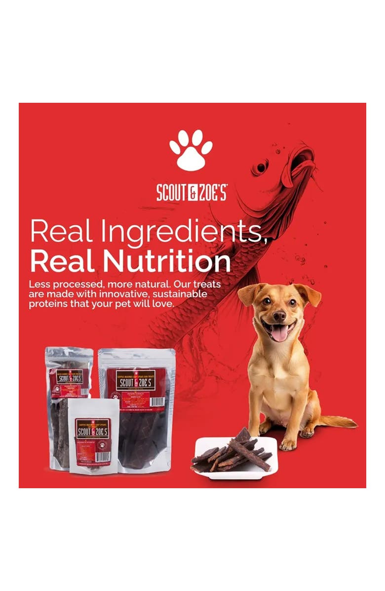 Scout & Zoe's Carp Fish Spears, 4oz Dog Jerky Treats, Smoked Pet Chews, Protein, Alternate, color, Multicolored