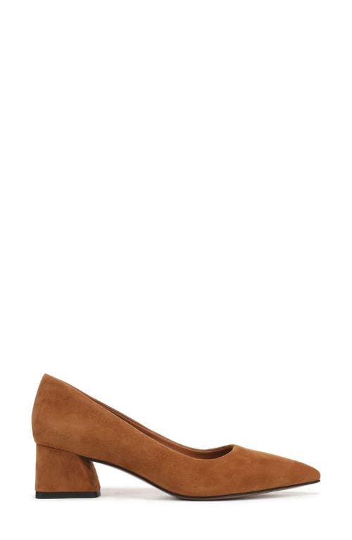 Franco Sarto Racer Pointed Toe Pump In Brown