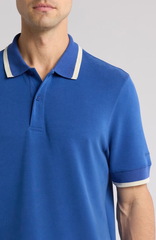 Sealskinz Hethersett Tipped Polo In Blue