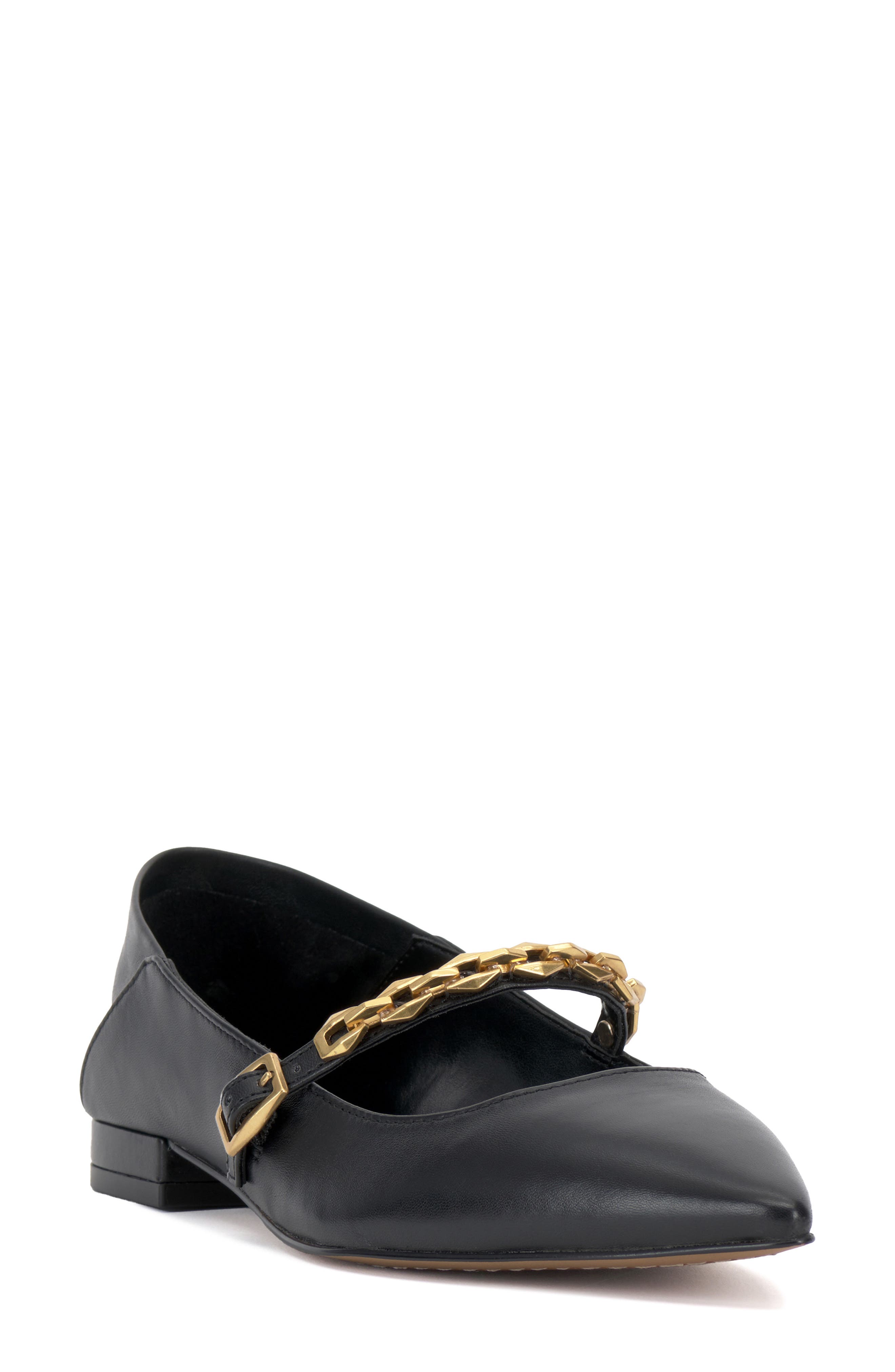Vince Camuto Aylin Mary Jane Pointed Toe Flat, Main, color, 