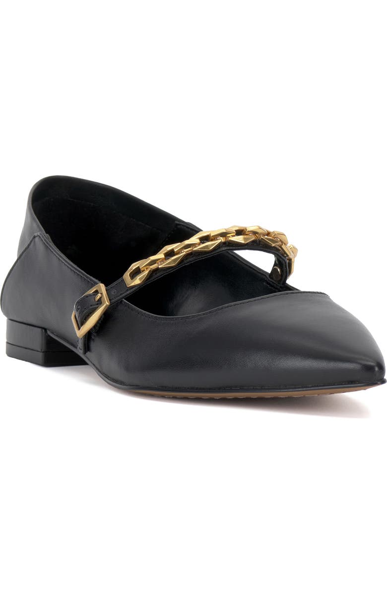 Vince Camuto Aylin Mary Jane Pointed Toe Flat, Main, color,