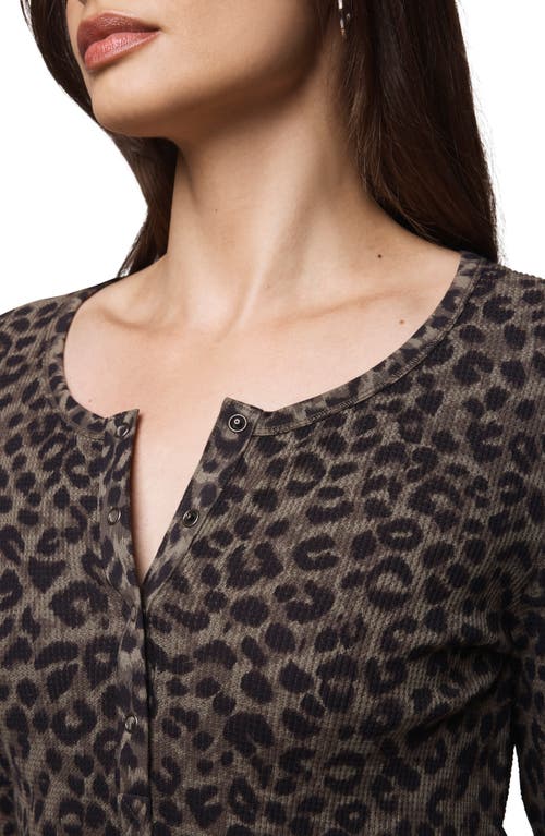 Splendid Forever Leopard Henley In Brown