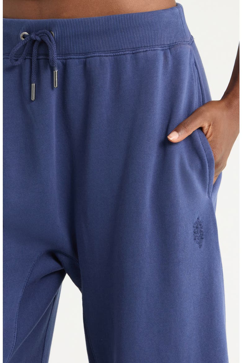 FP Movement You Wish Tie Waist Sweatpants, Alternate, color, BLACK GRAPE