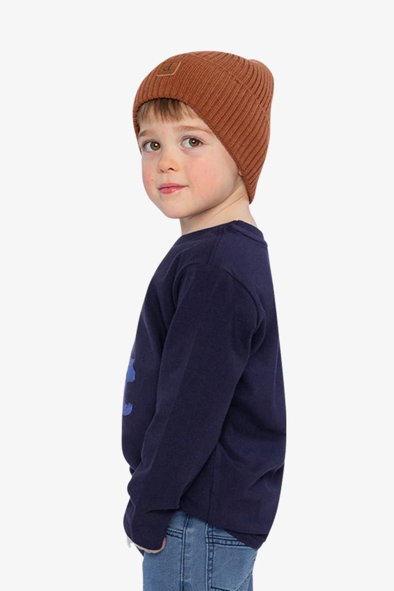 Long Sleeve Organic Cotton Dino Crew Neck T-Shirt, Alternate, color, Dark Blue and Orange
