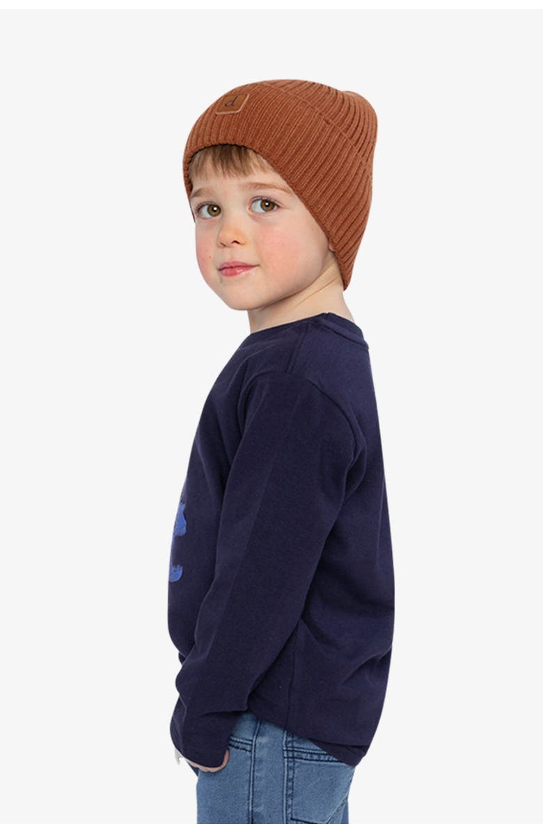 Deux par Deux Long Sleeve Organic Cotton Dino Crew Neck T-Shirt, Alternate, color,