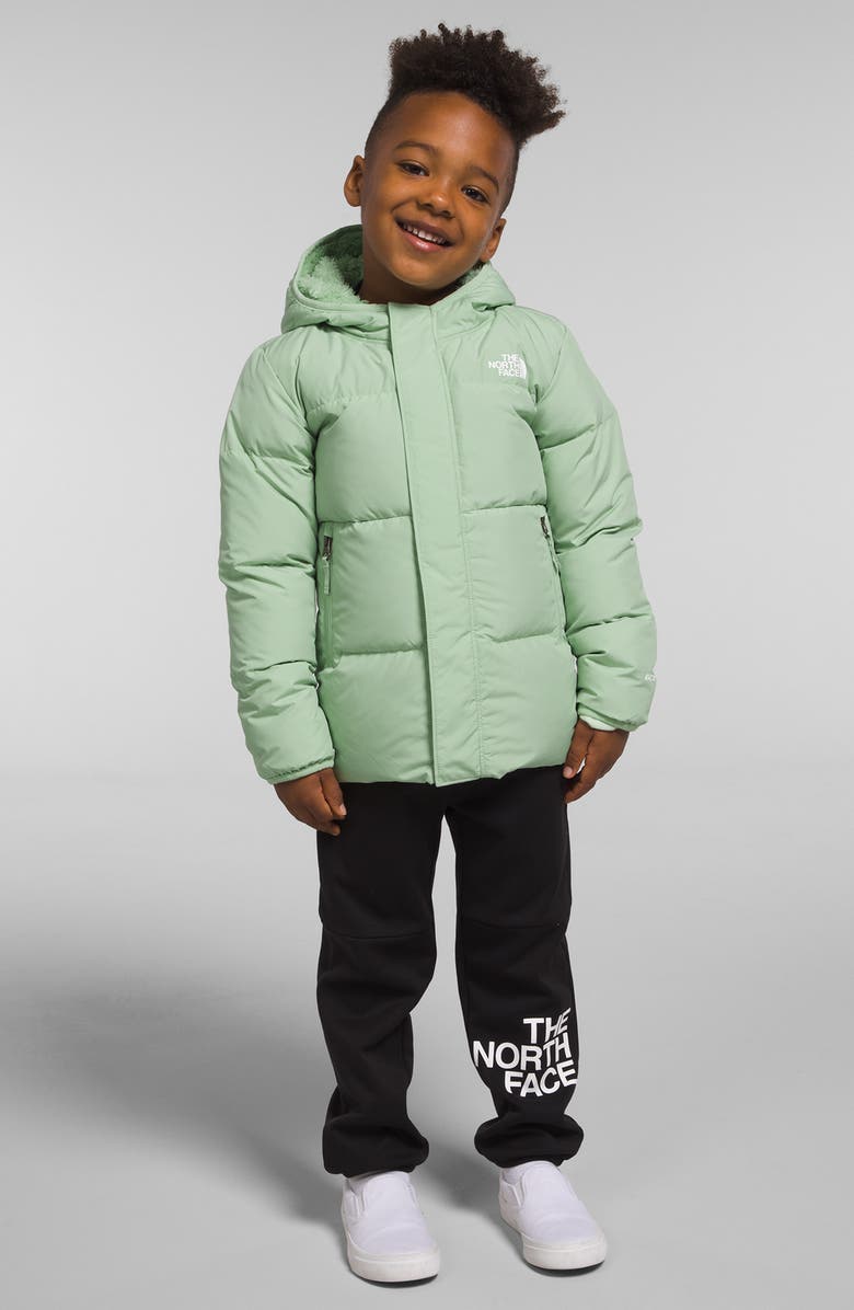 The North Face Kids' North Hooded Water Repellent 600 Fill Power Down Recycled Polyester Jacket, Alternate, color, 