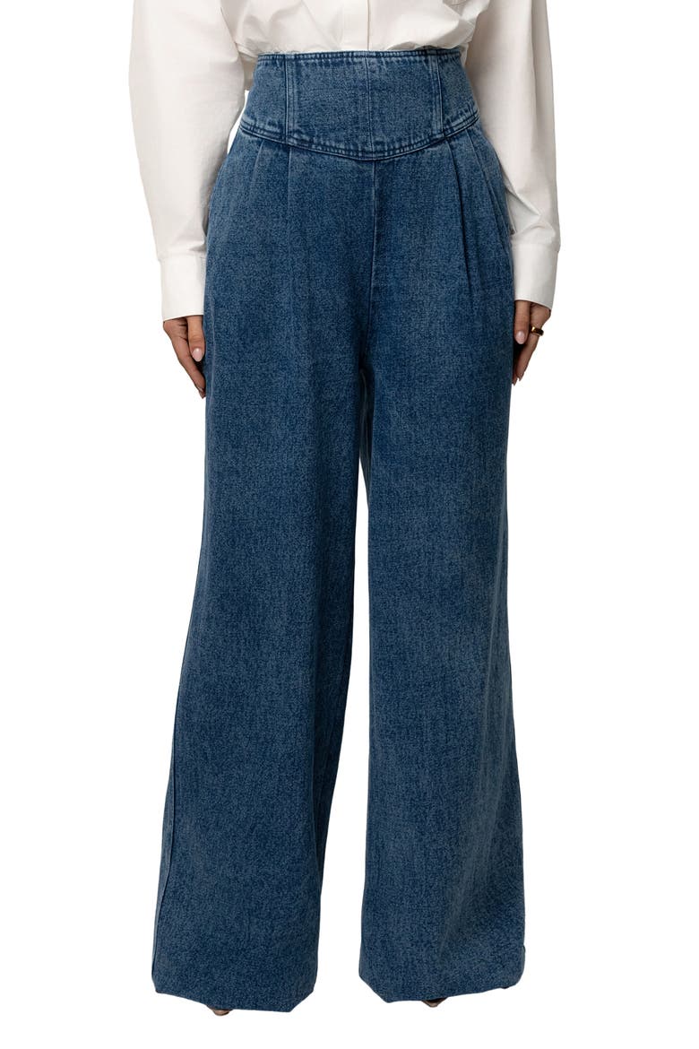 Pleated Wide Leg Denim Pants, Main, color, DENIM
