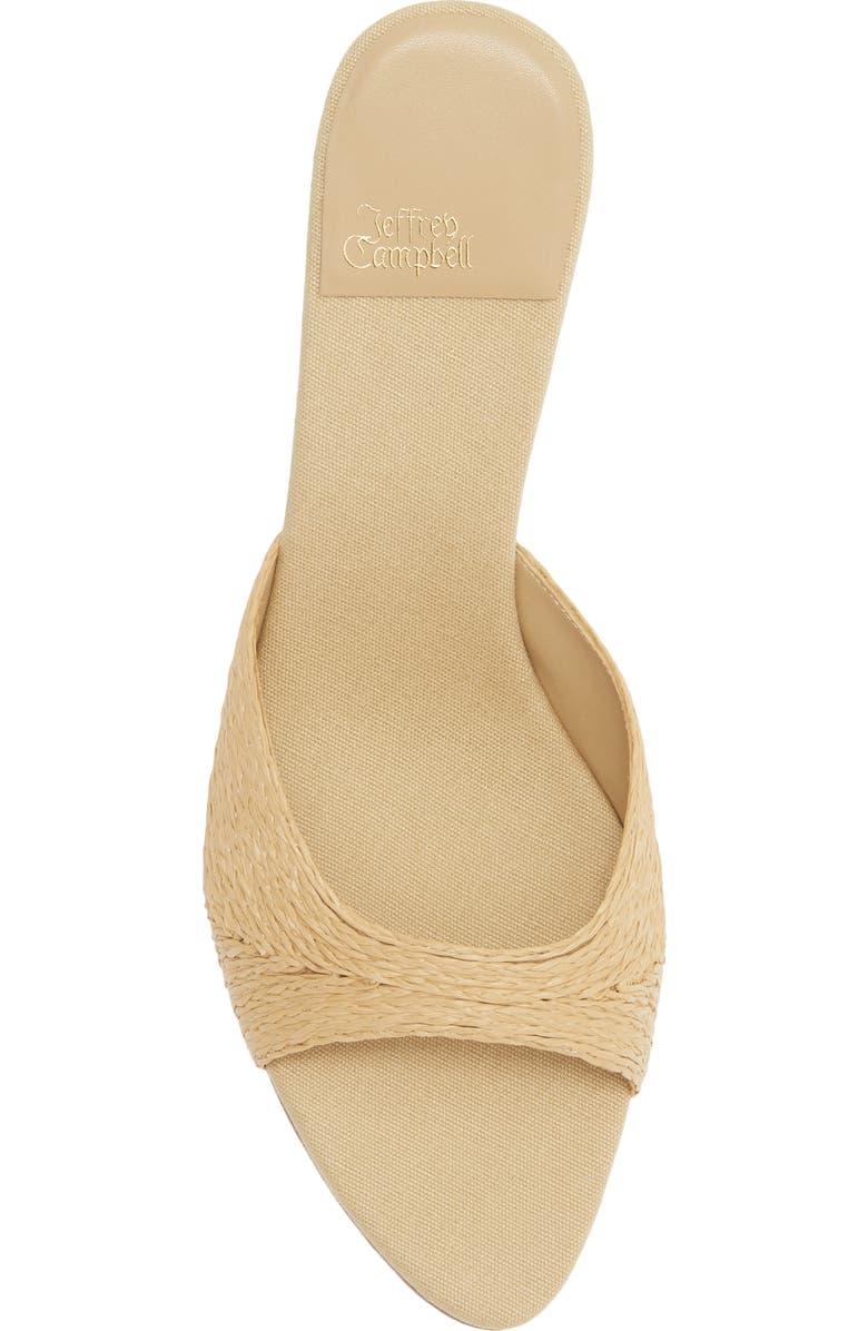 Jeffrey Campbell Spy-Kid Slide Sandal, Alternate, color, Natural Raffia